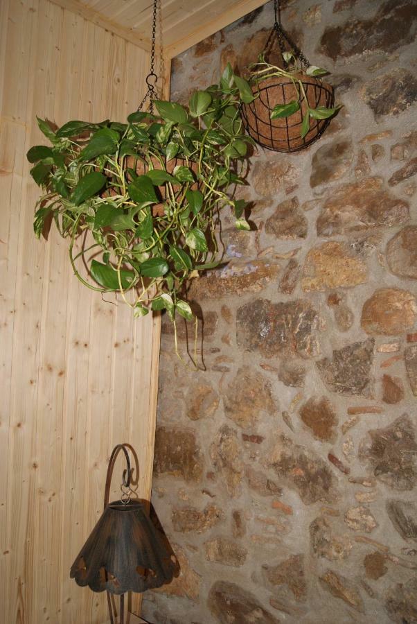 Apartament Codina 40 Apartment Torroella De Montgri Exterior photo