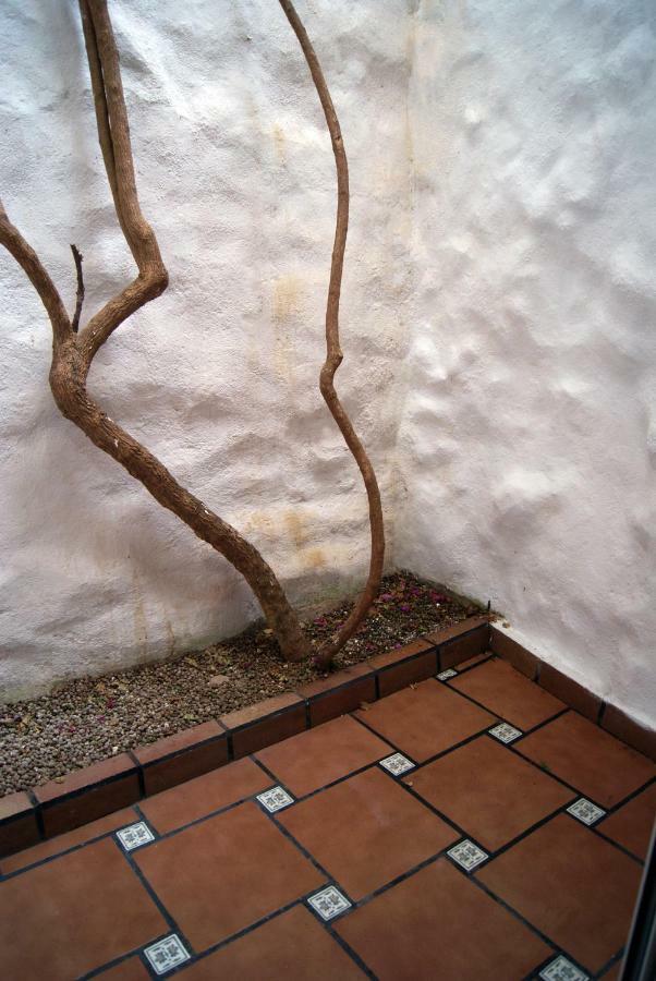 Apartament Codina 40 Apartment Torroella De Montgri Exterior photo